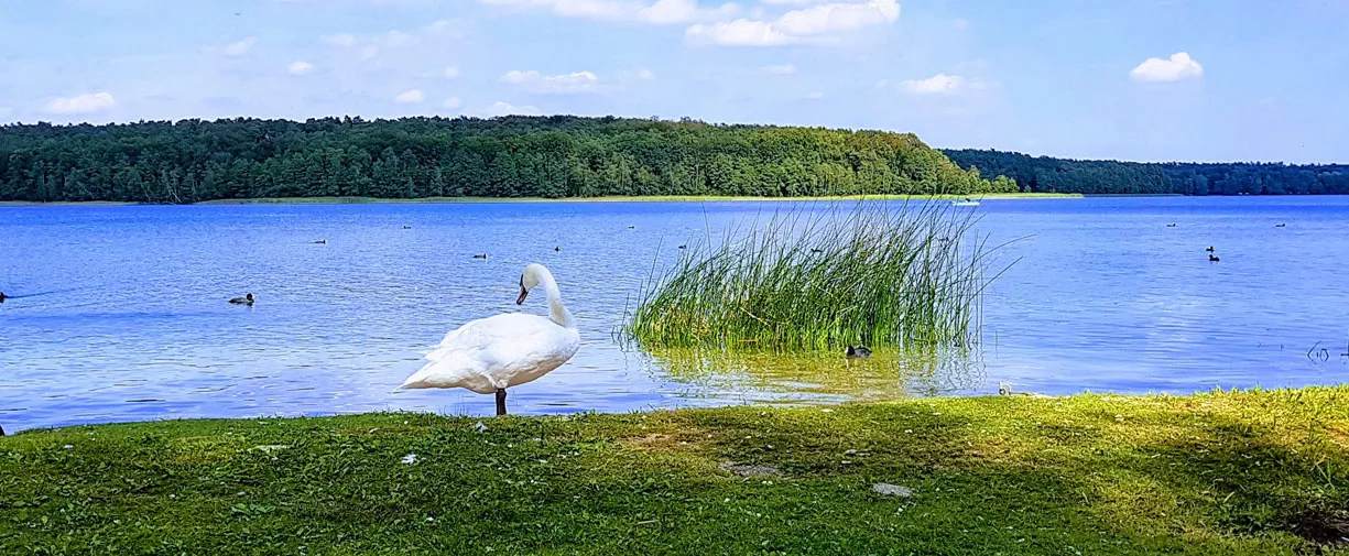 KORMORAN feriecenter 02